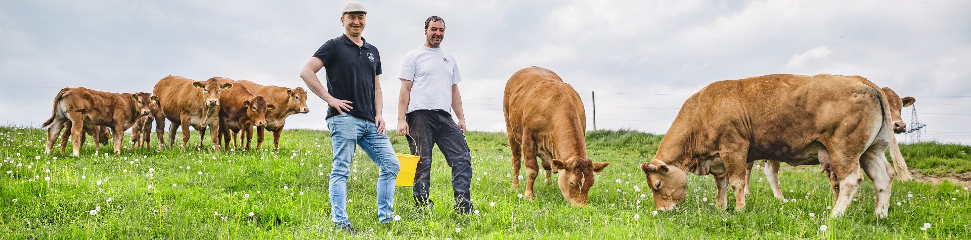 Bauer und Metzger auf der Weide